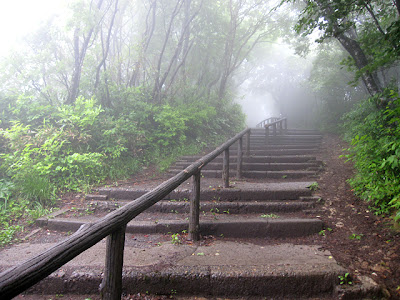 弥彦山　山頂目前の階段