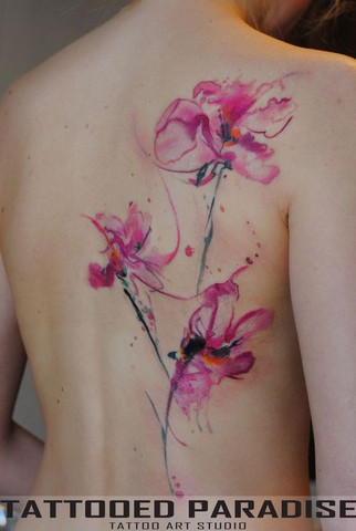 DE FLORES COR DE ROSA EM VOLTA