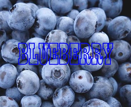manfaat blueberry untuk kesehatan