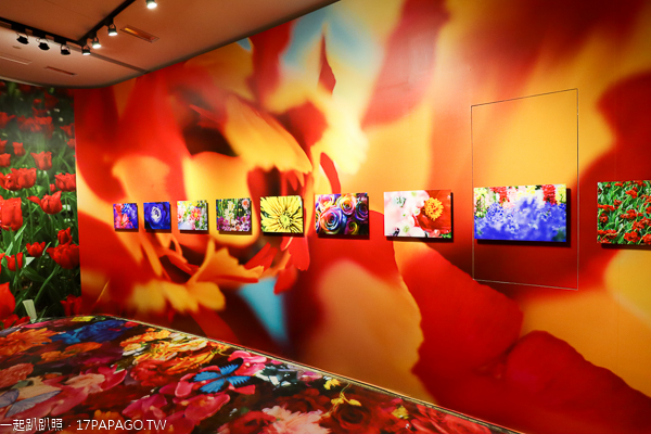 台中后里|台中花博后里馬場園區|花舞館|馬術兢技場|故宮花蝶館|花馬樂園 台中后里|台中花博后里馬場園區|花舞館|馬術兢技場|故宮花蝶館|花馬樂園