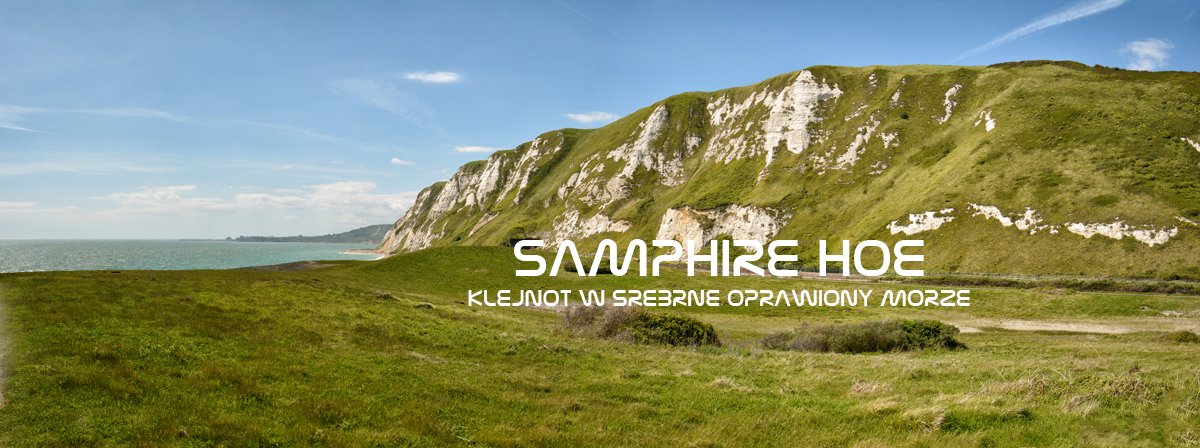 Samphire Hoe, Anglia - atrakcja turystyczna południowej Anglii. Dojazd, informacje praktyczne.