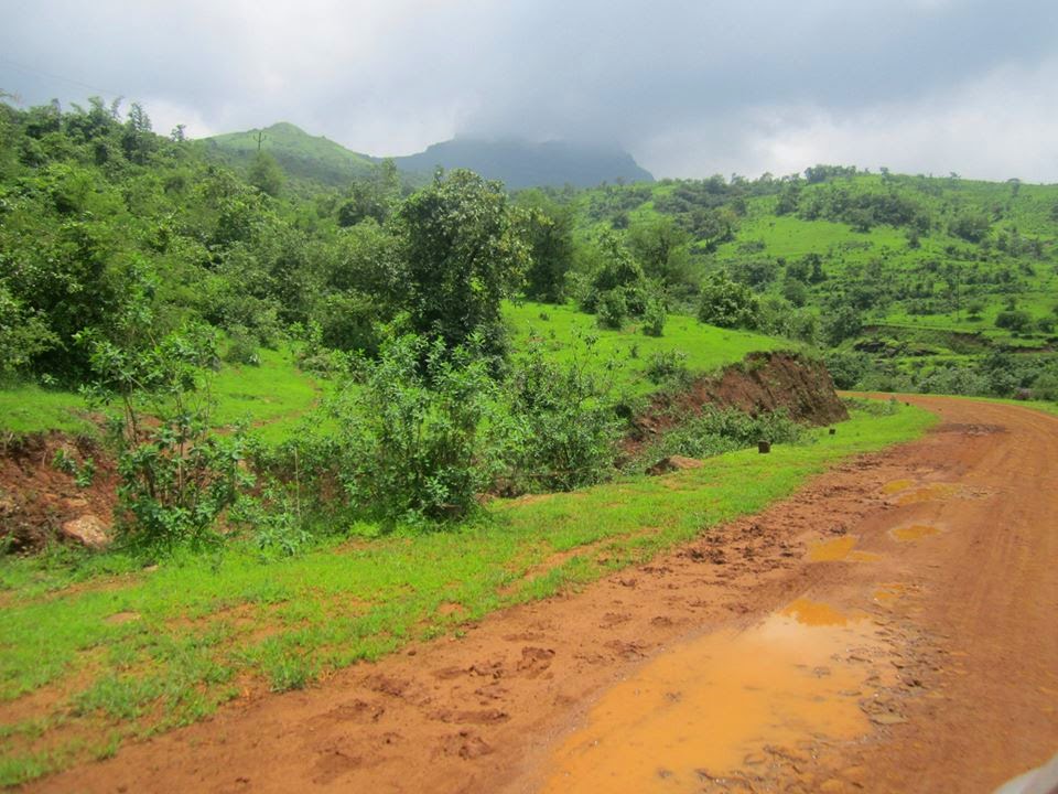 atul borkar Agriculture land for sale at velhe 10 lac
