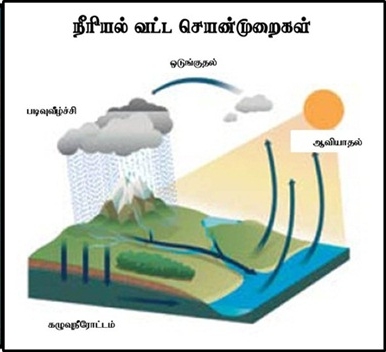 June 2013 - GEOGRAPHY IN TAMIL