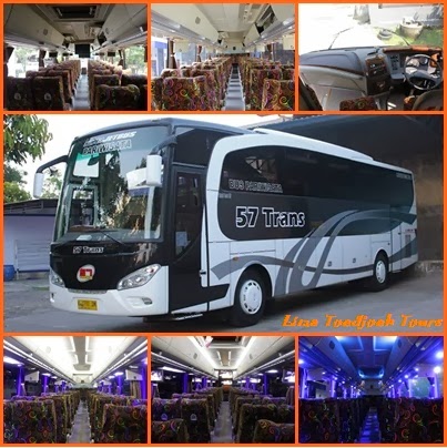 57 Trans: Mengurai Keunggulan Bus Medium Pariwisata untuk Petualangan yang Nyaman