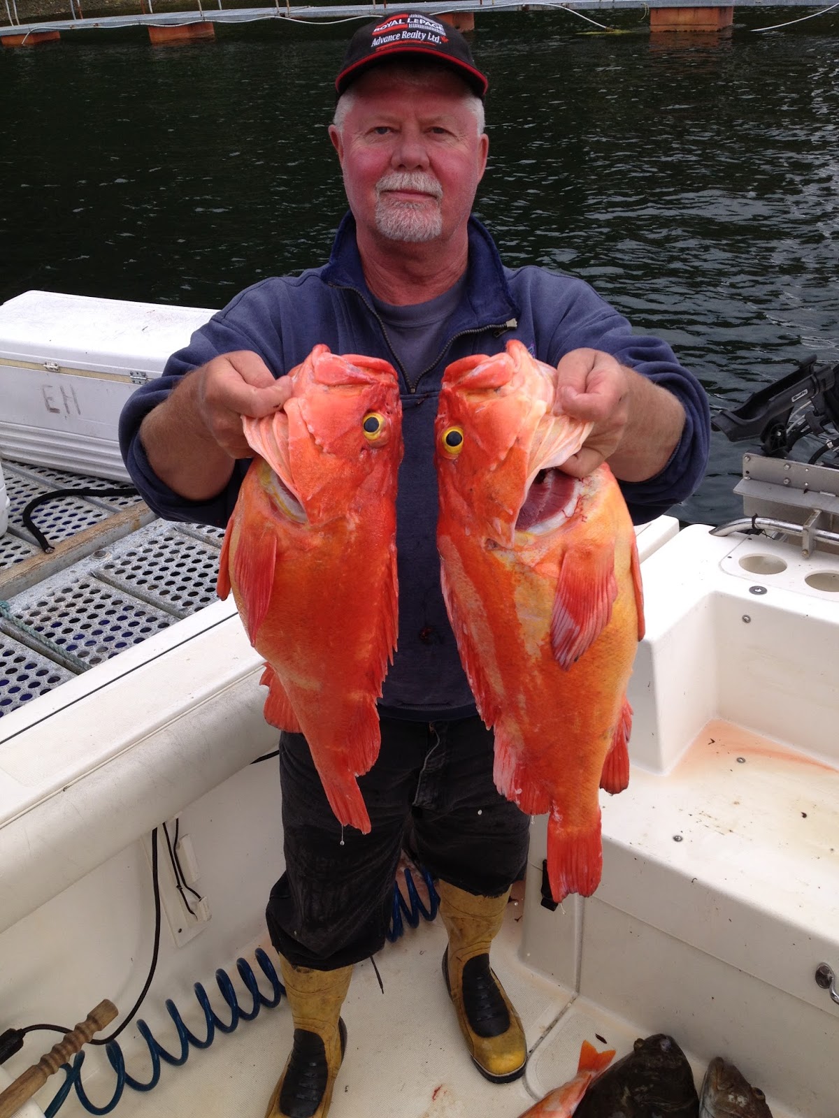 BC Oceanfront: Licence Renewal Season is Here