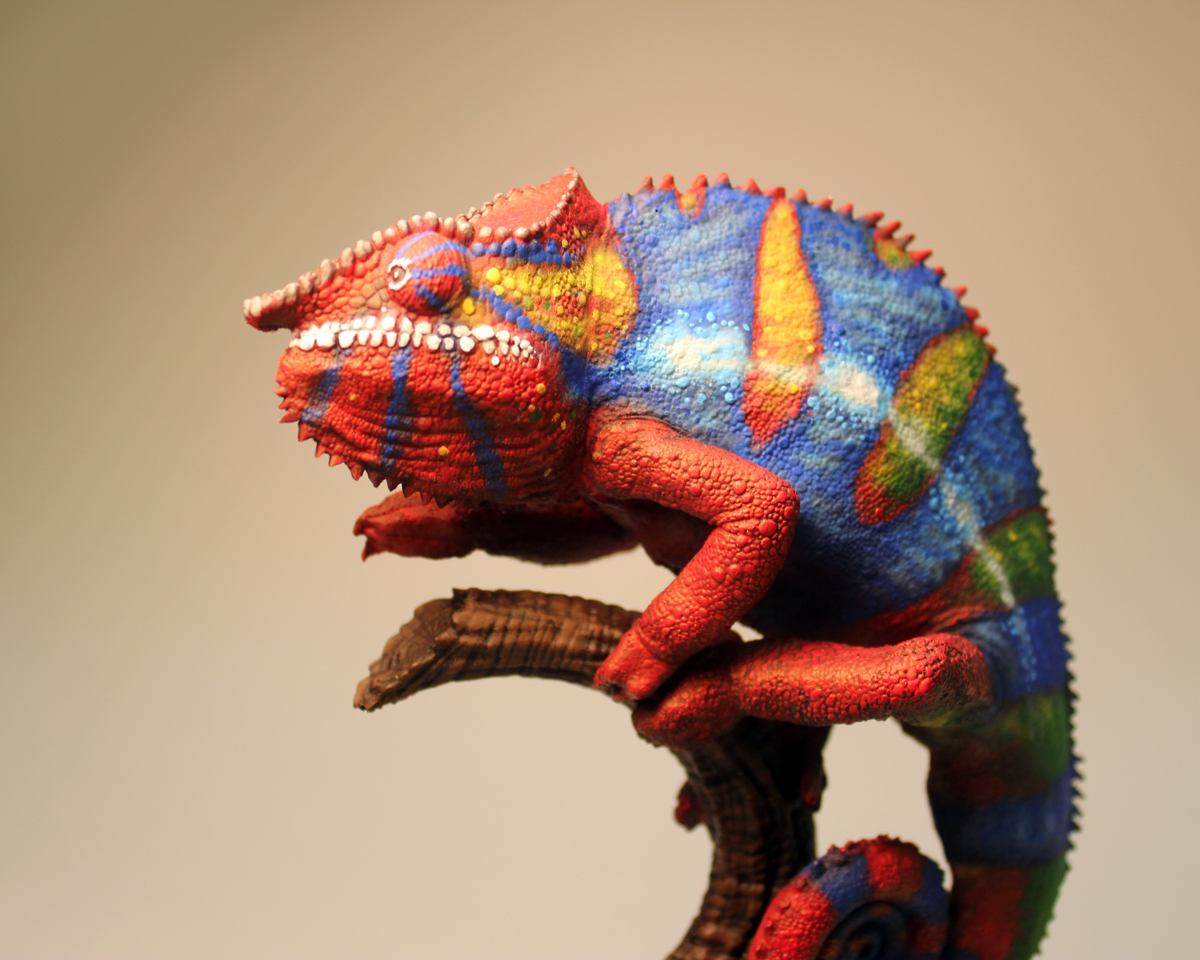 chamColor5SML.jpg