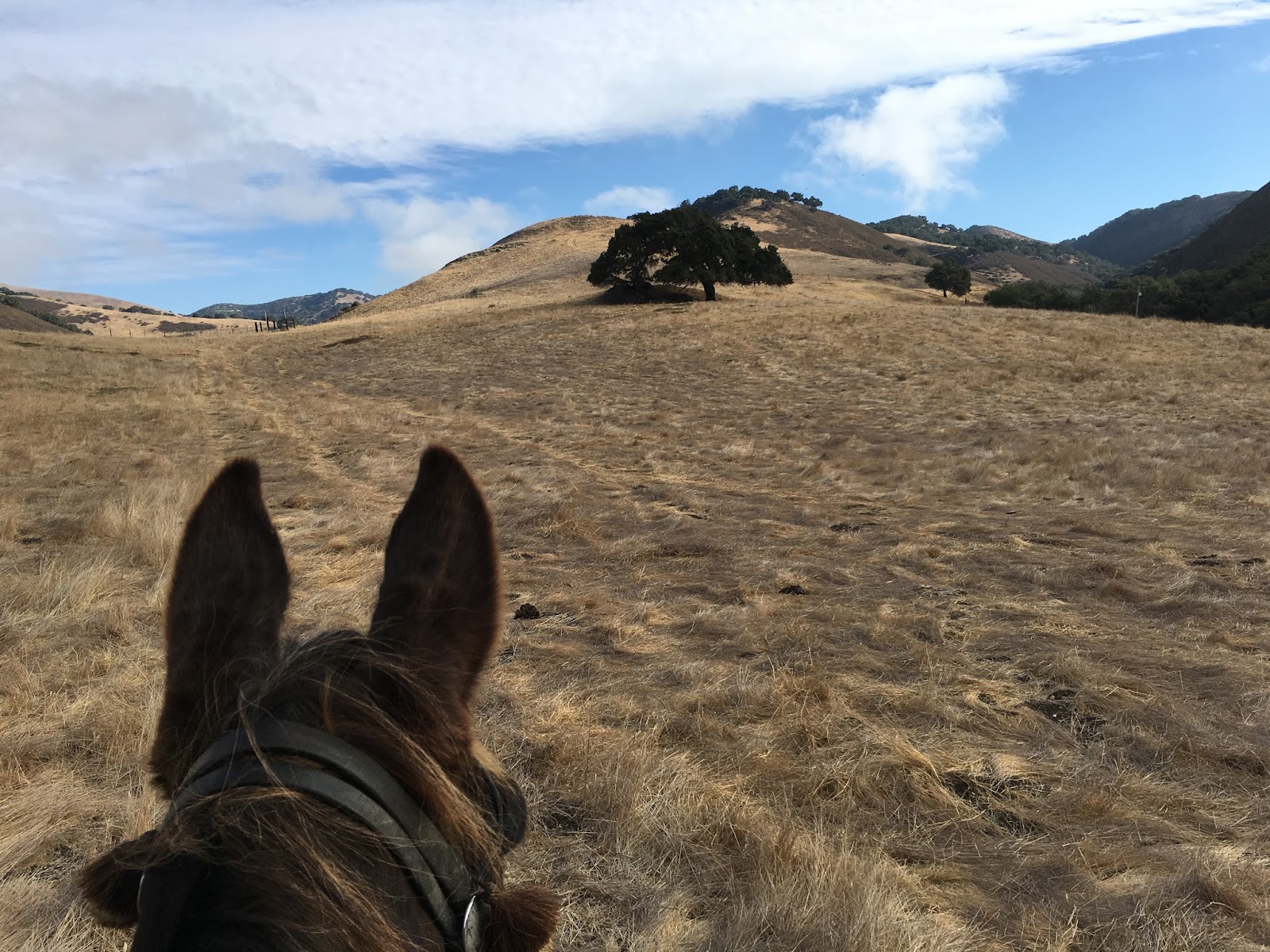 MuleTrail 2017/10/29 YellowJacket Ranch in the Huasna Valley