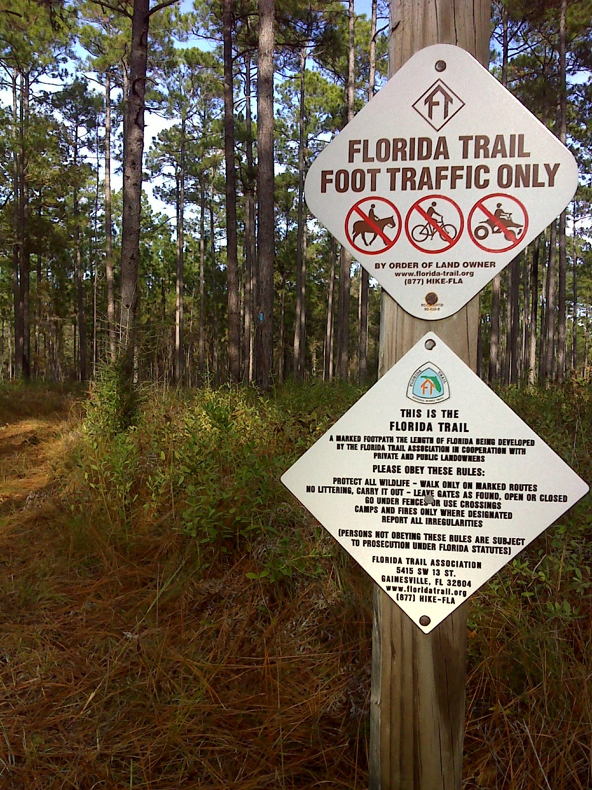 Heart and Sole Made it to Florida! hiking Conecuh National Forest