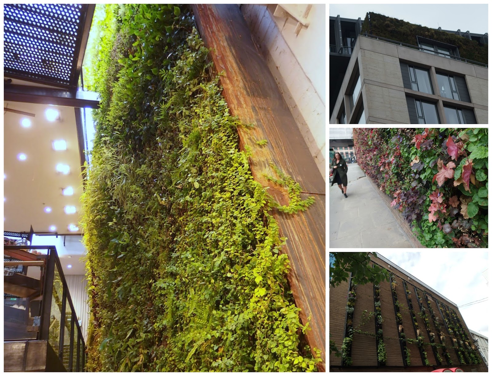 The Great Green Wall Hunt The story so far