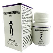 pengalaman menggunakan garcinia cambogia