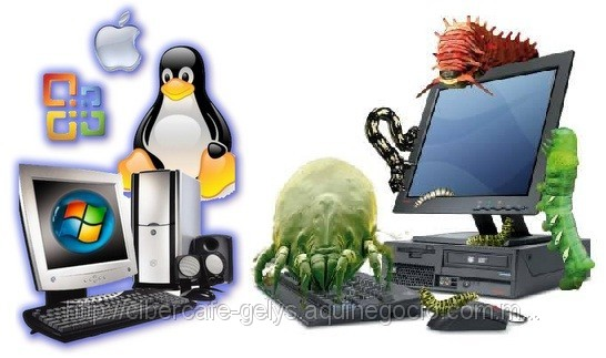 Mi Sistema Fisico Y Logico Mantenimiento De Software Y De Hardware