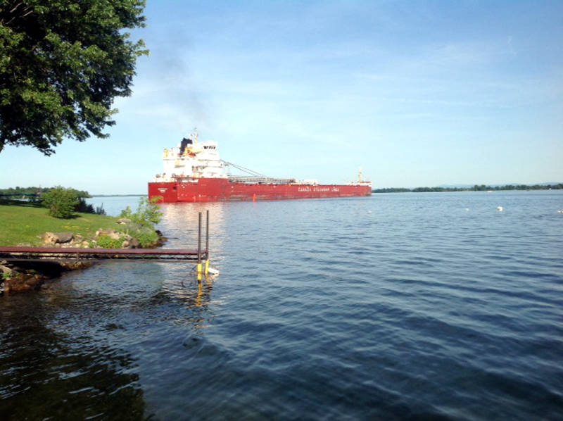 MEC&F Expert Engineers Bulk carrier Whitefish Bay, owned by Canada