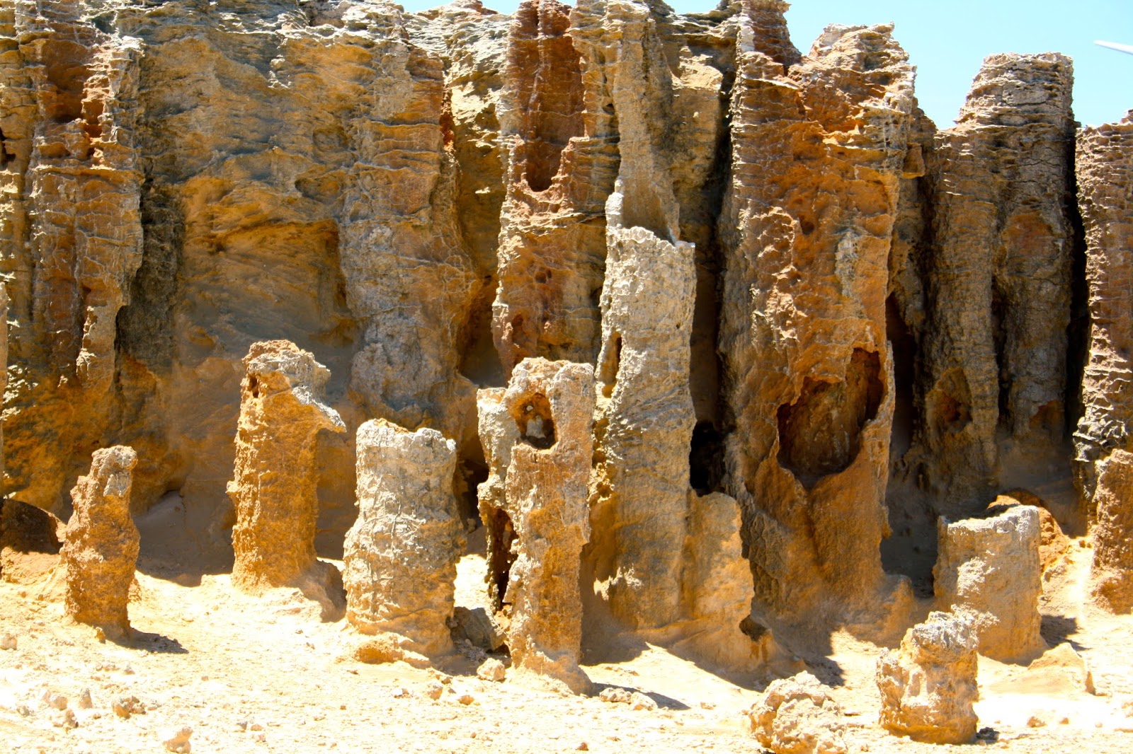 RDO Melbourne: Cape Bridgewater