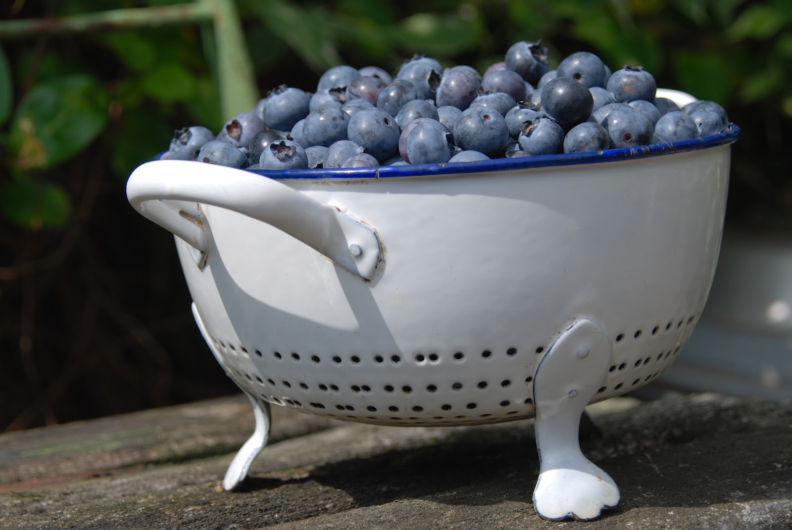 In de keuken Blauwe bessen