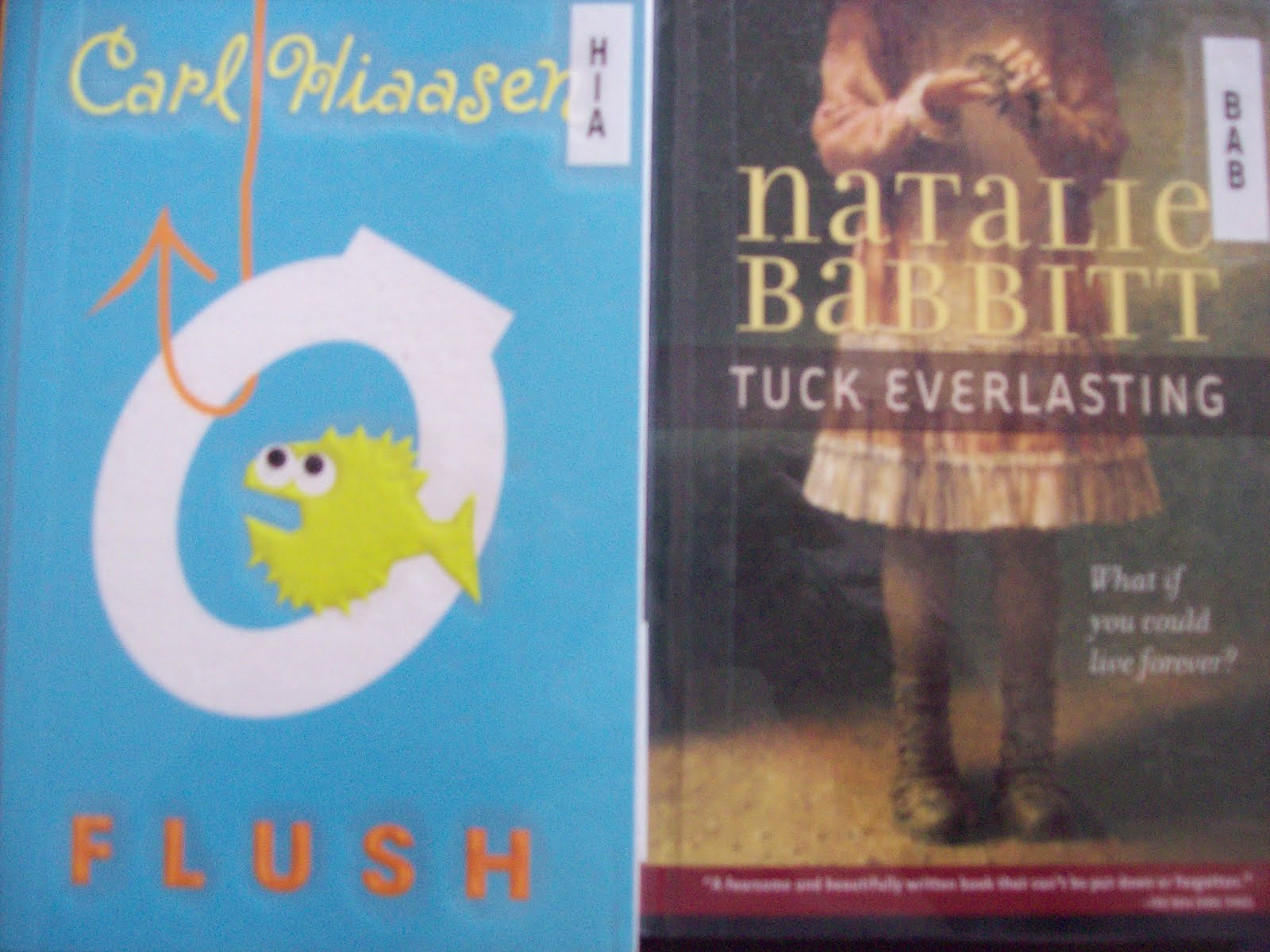 Springston School Library Blog New! New! New! Loads of new books on