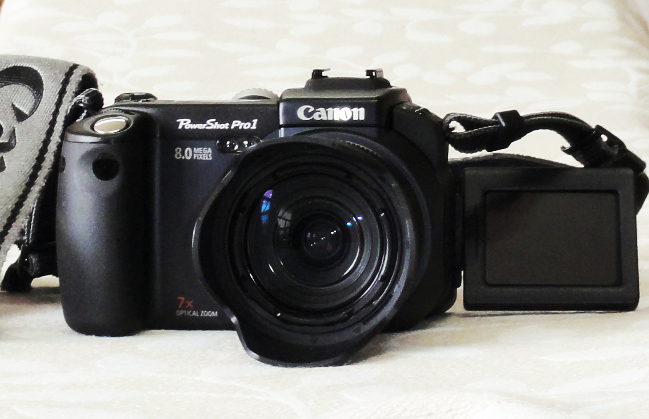 カメラ デジタルカメラ CANON Power Shot Pro1 純正カメラケース 程度上 デジタルカメラ 