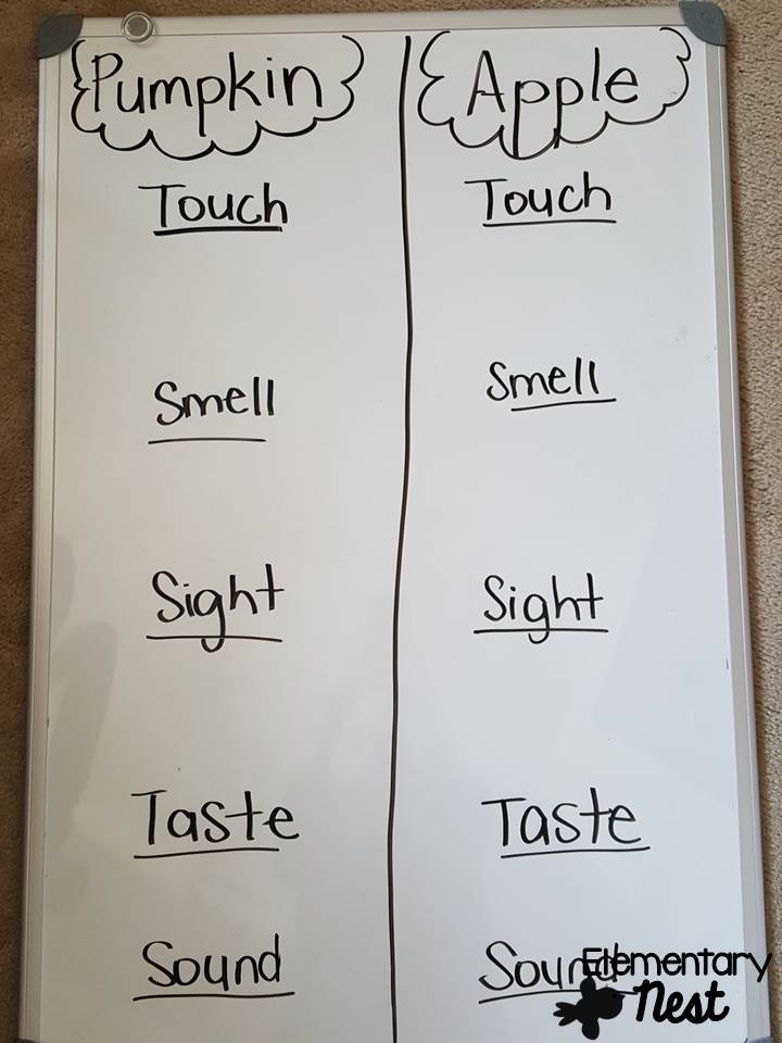 Second Grade Nest: Integrating Science into Fall Teaching