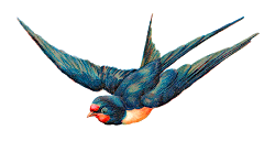 bird flight digital animal graphic valentine pretty antique wings