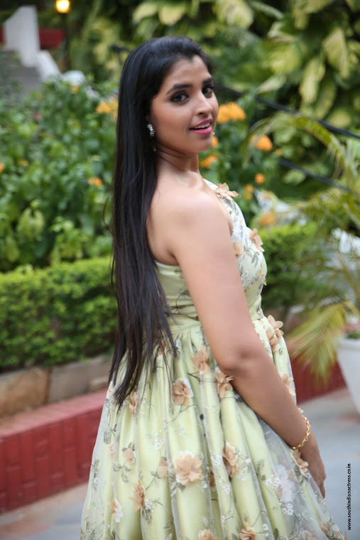 Anchor Shyamala at Naa Peru Surya success meet
