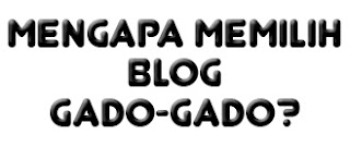 mengapa memilih blog gado-gado, niche blog, tujuan ngeblog, blogging, halaman serp, kemampuan menulis