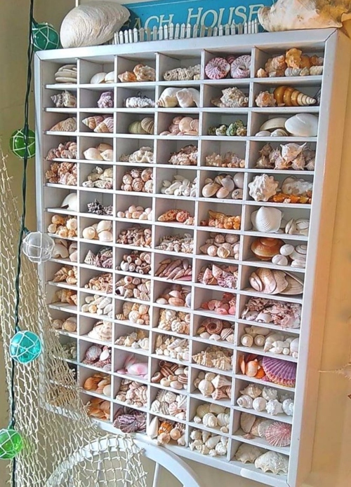 Large White Printer Tray Sea Shell Display