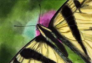 https://www.etsy.com/listing/247876299/butterfly-watercolor-painting-original?ref=listing-shop-header-1