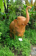 Elephant in the Garden