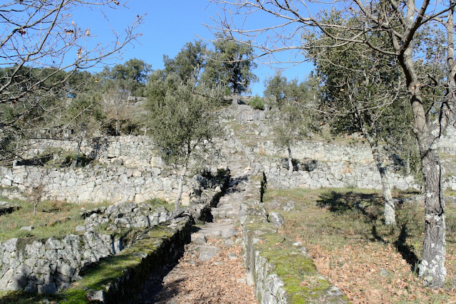 Citânia de Briteiros