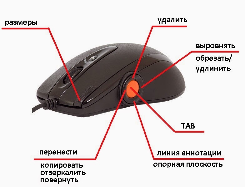 Почему мышь назвали мышью. Кнопки мыши Mouse 4. Назначение кнопок мыши a4tech х87. Мышь с боковыми кнопками. Боковые кнопки мыши название.