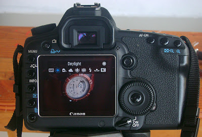 Using Live View to Set Your White Balance