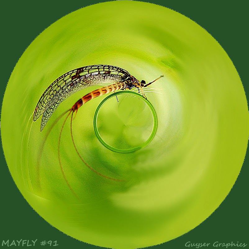 Fly Fishing In Yellowstone National Park Fly Shop 7