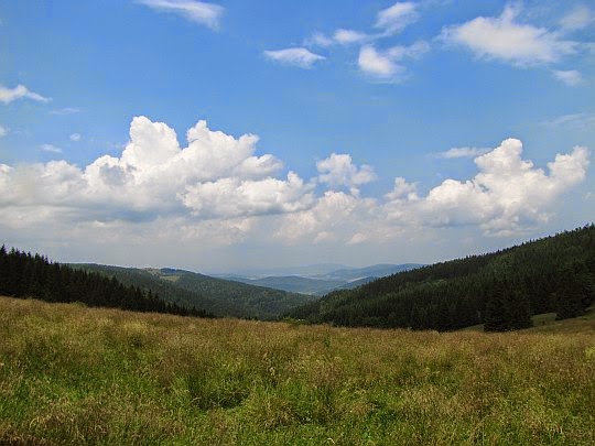 Pasmo Krowiarek (niem. Küh Berge) z Przełęczy Puchaczówka.