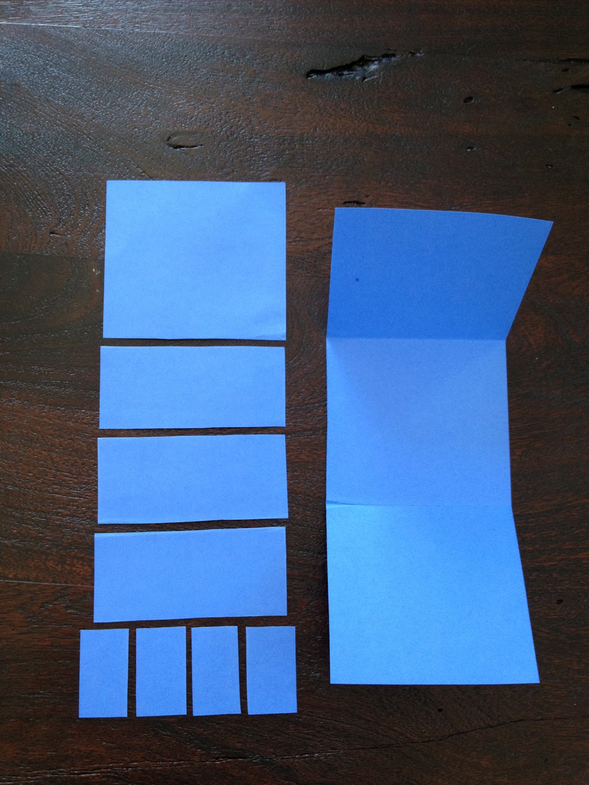 Madame Belle Feuille: needs of animals research project continued