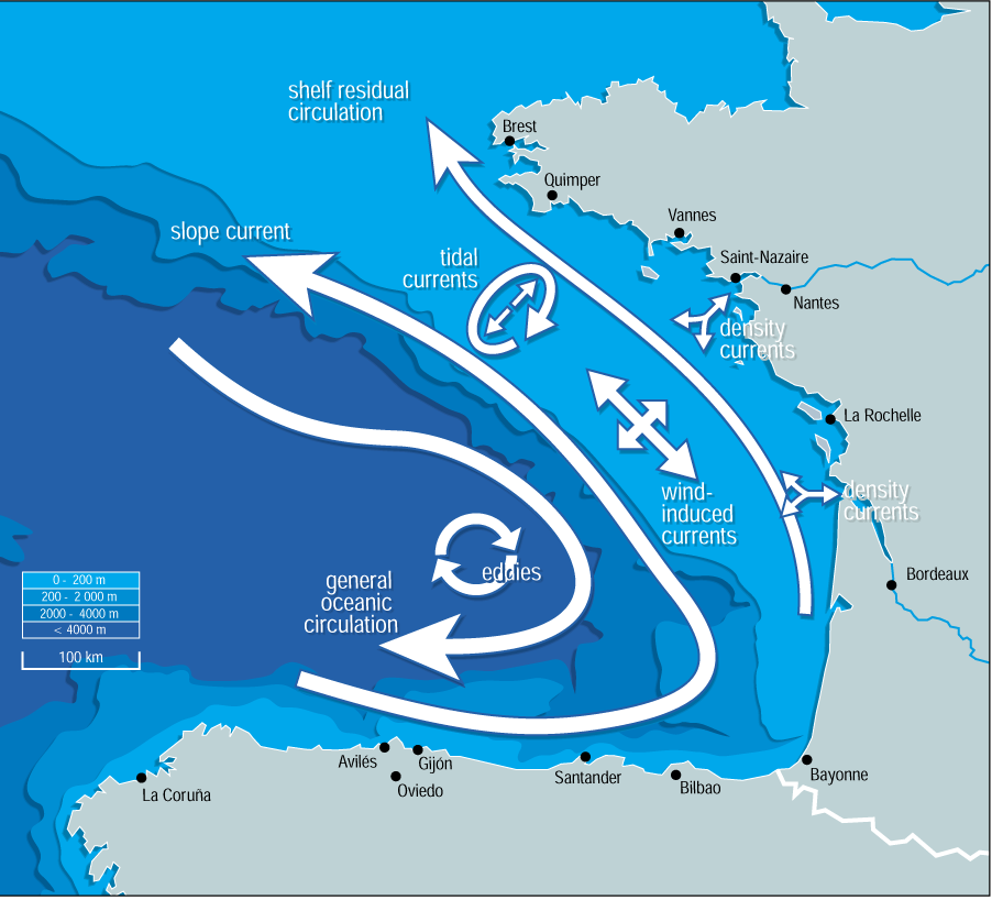 Waratah Revisited BUMPED HER NOSE RIGHT DOWN INTO THE TROUGH OF WATER.