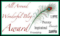wonderful blog award