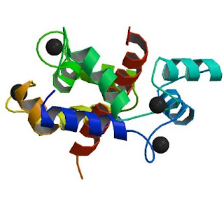 ryanodine receptor