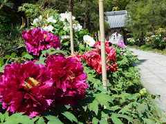 �������̃{�^��