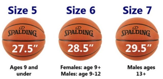 Induk Organisasi Bola Basket Tingkat Nasional Joonka