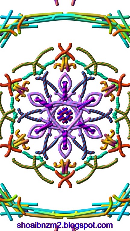 flowers for flower lovers.: Art designs pictures.