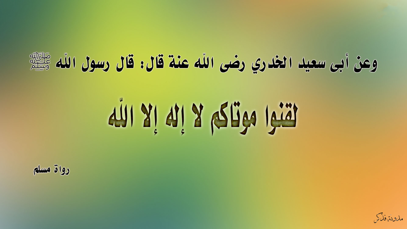 شرح حديث لقنوا موتاكم لا إله الا الله فذكر