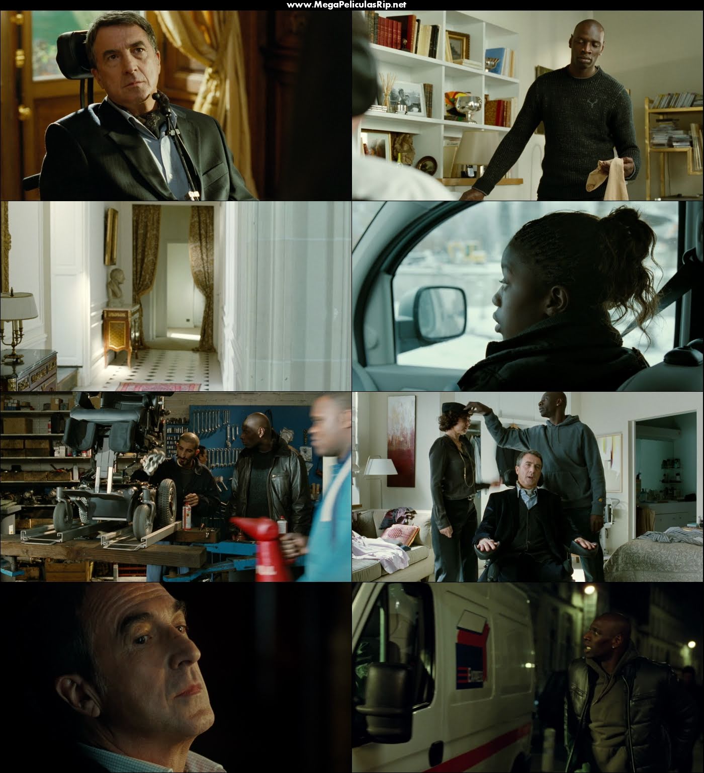 Amigos Intocables 1080p Latino