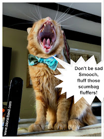 Fluff Those Scumbag Fluffers said Fudge @BionicBasil® The Pet Parade