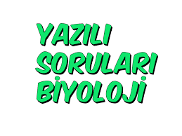 BİLKEM: 12.SINIF YAZILI ÇALIŞMA SORULARI VE CEVAPLARI
