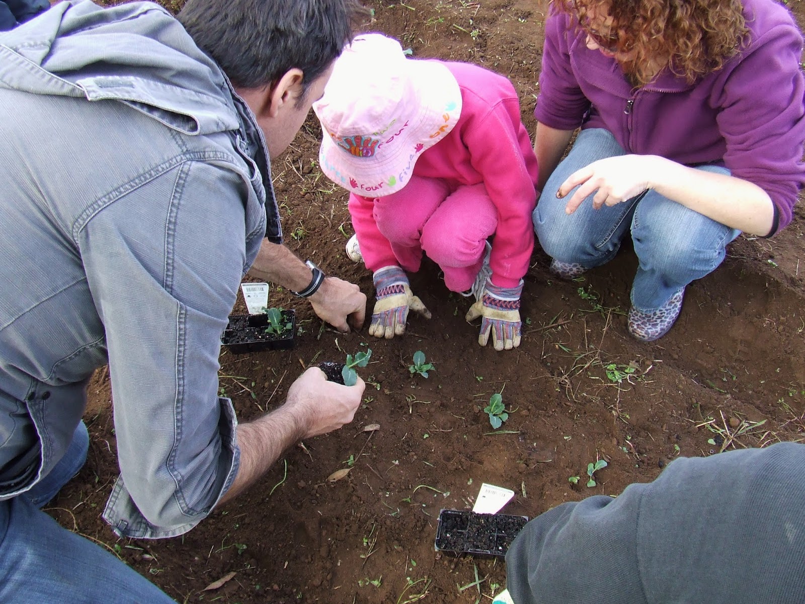 d r i n k s t e r McLAREN VALE'S EXEMPLARY NEW SUBURB