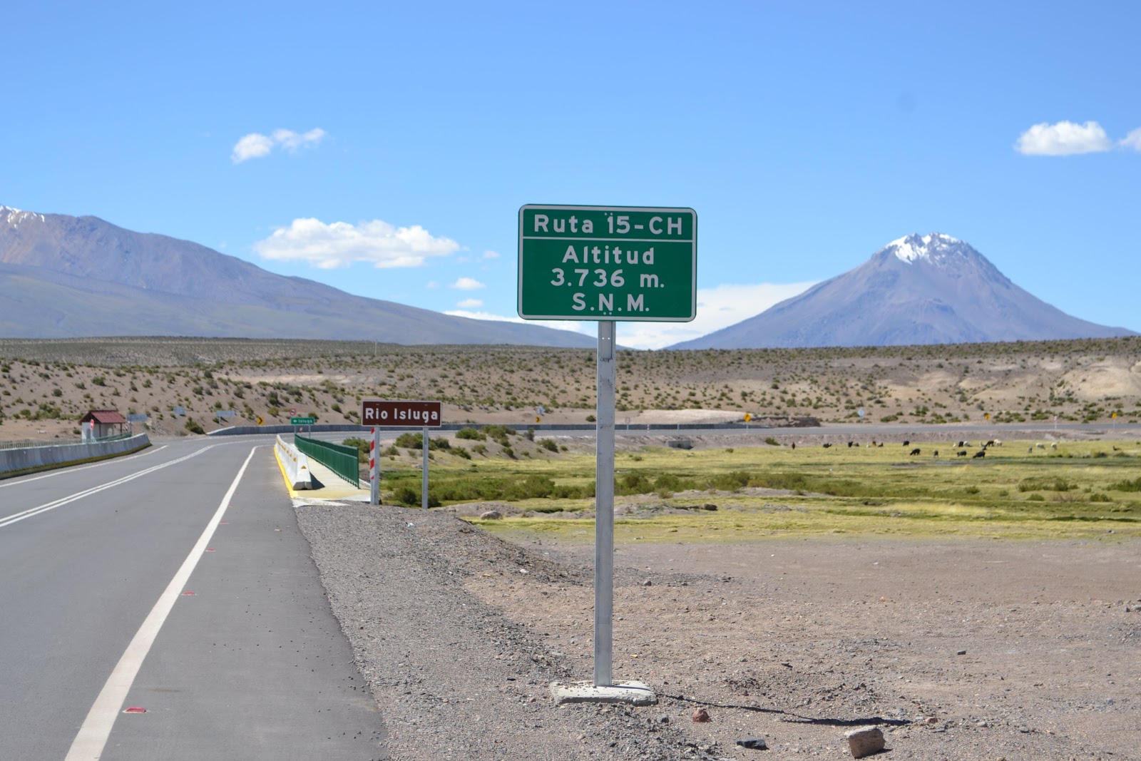 Diario Breve de cinco días en Colchane, más visita a la