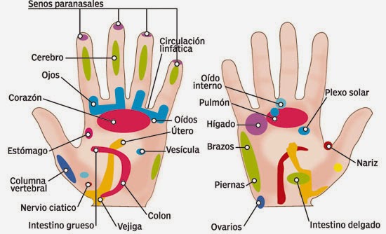 Conoce qué son los Mudras y descubre su poder 1/2 Conoce qué son los Mudras y descubre su poder 1/2