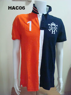 HAC06.jpg