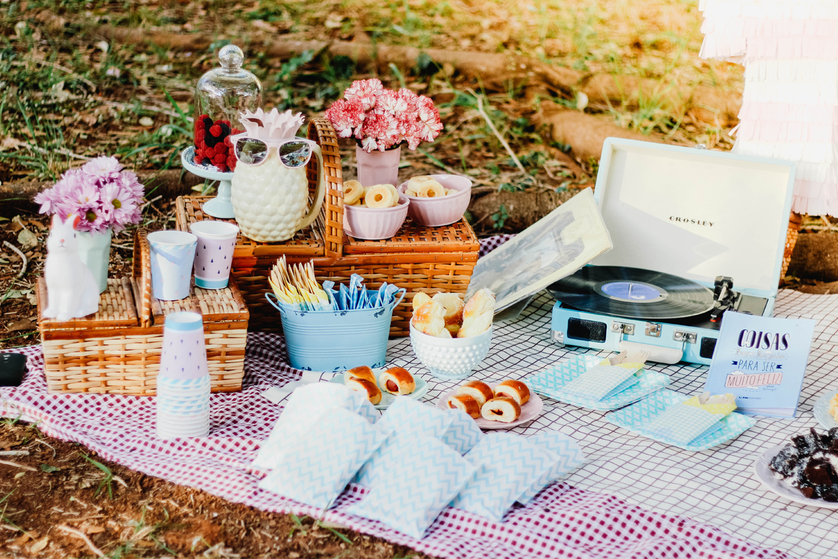 picnic festa ao ar livre frutas comemoracao 10k instagram 