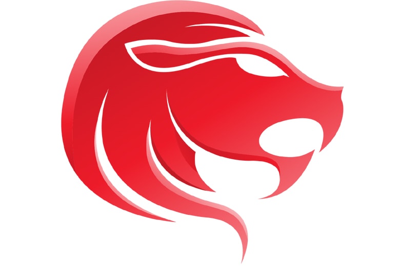 Leo Horoscope 2018 Singh Rashifal 2018 सिंह राशिफल 2018 99Advice