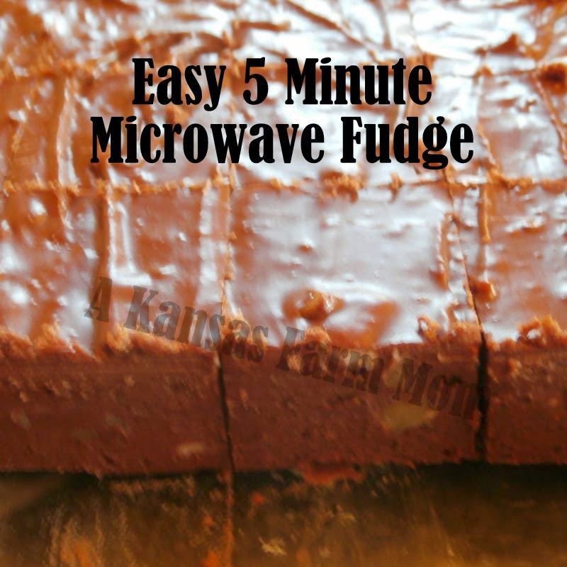 Tales of a Kansas Farm Mom Easy 5 Minute Microwave Fudge